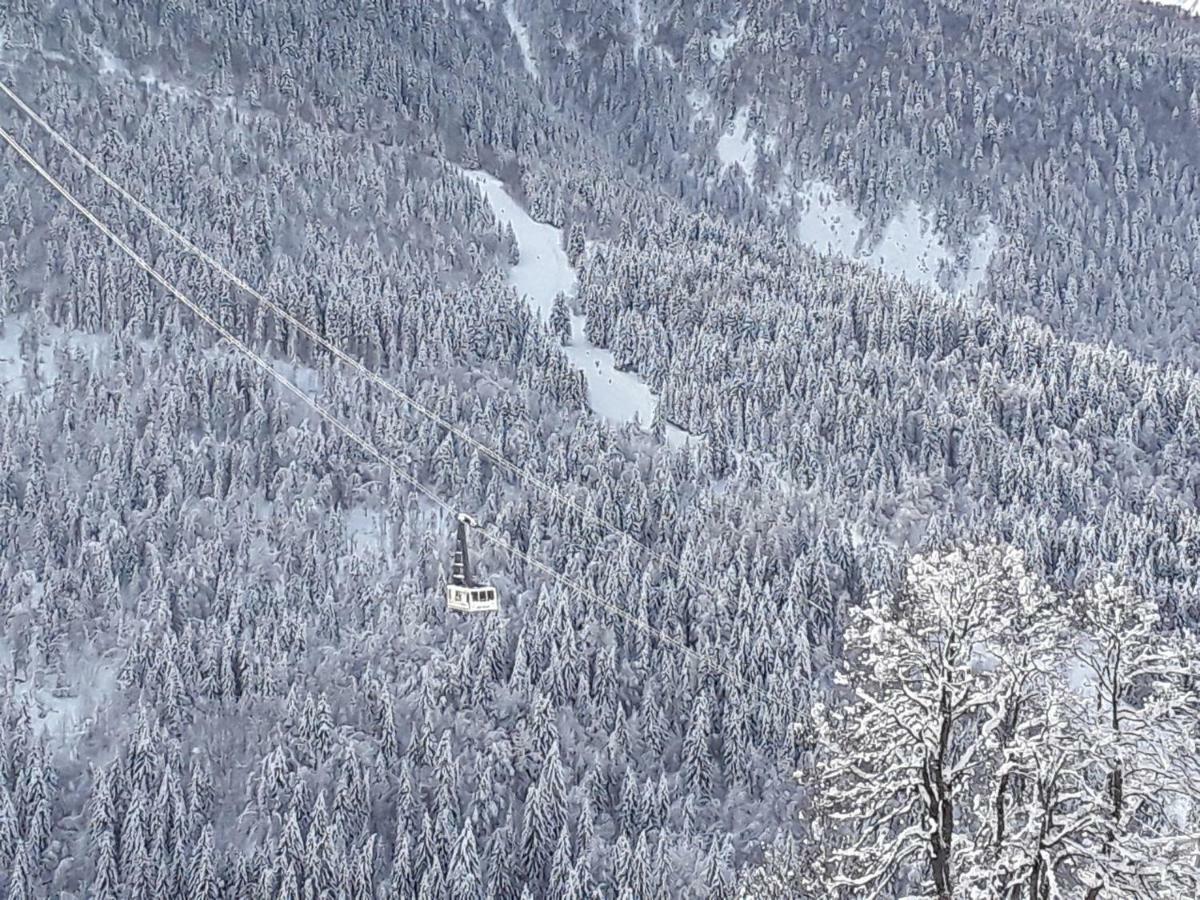 L'Aigle Royal Apartment Vaujany Bagian luar foto